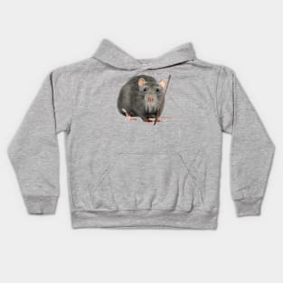 MASTER SPLINTER Kids Hoodie